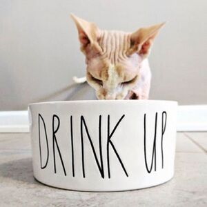 Rae Dunn Artisan Collection Drink Up Pet Bowl